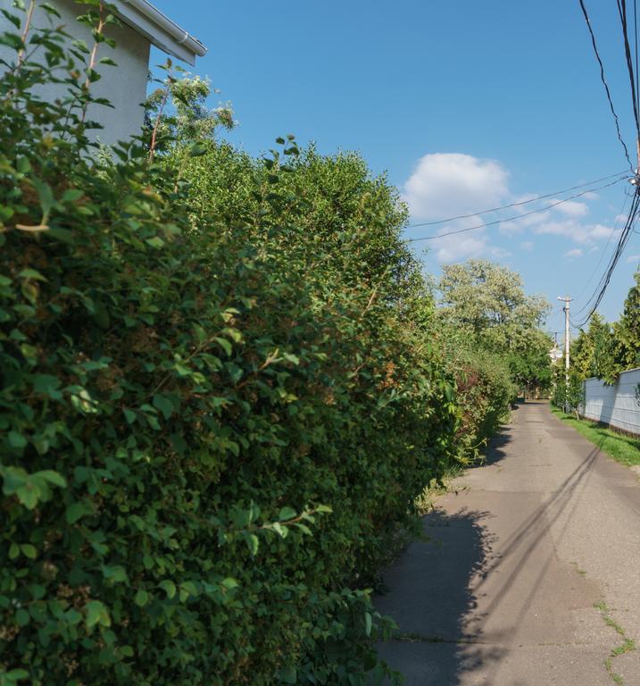 Authentic Odessa Dacha Villa Exterior foto